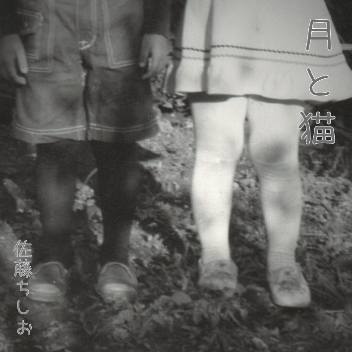 月と猫/佐藤ちしお=
