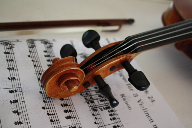 violin-Photo